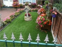  Garden  Magic