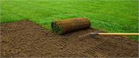  Mr Chipp Landscaping