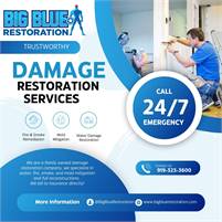  Big Blue  Restoration